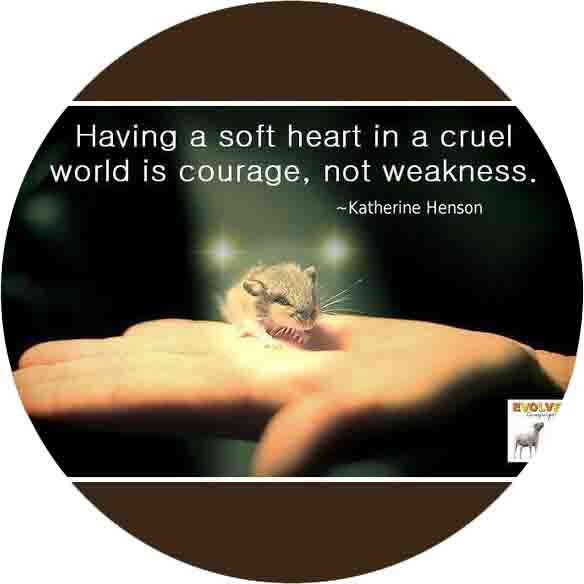 Vystopia Support Group - Facebook(5,5 k members)