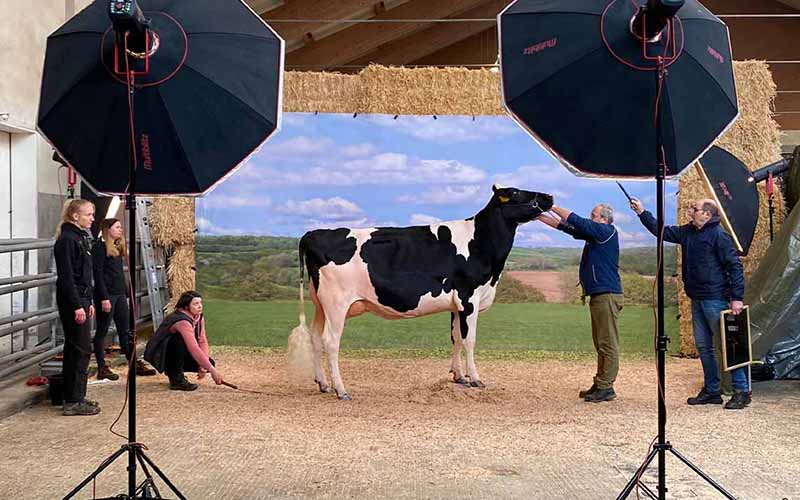 Couverture : DAIRY PRODUCTS