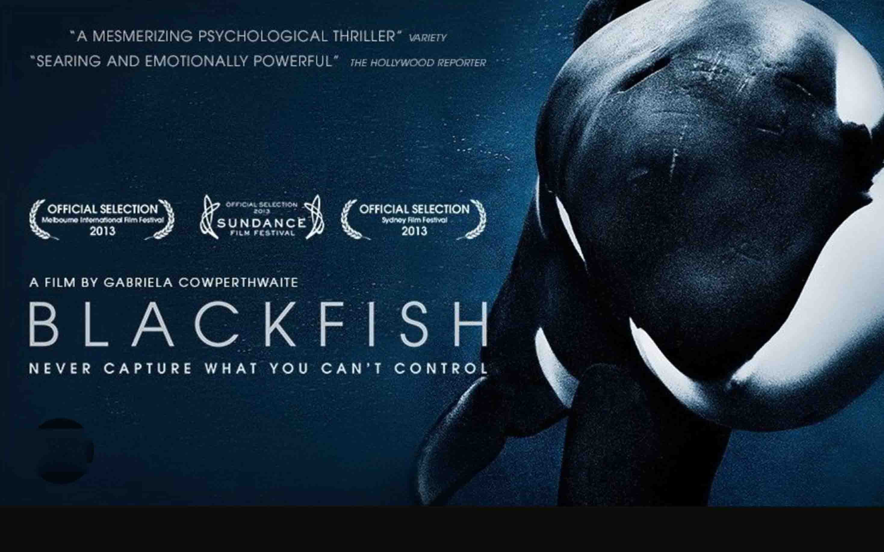 Blackfish