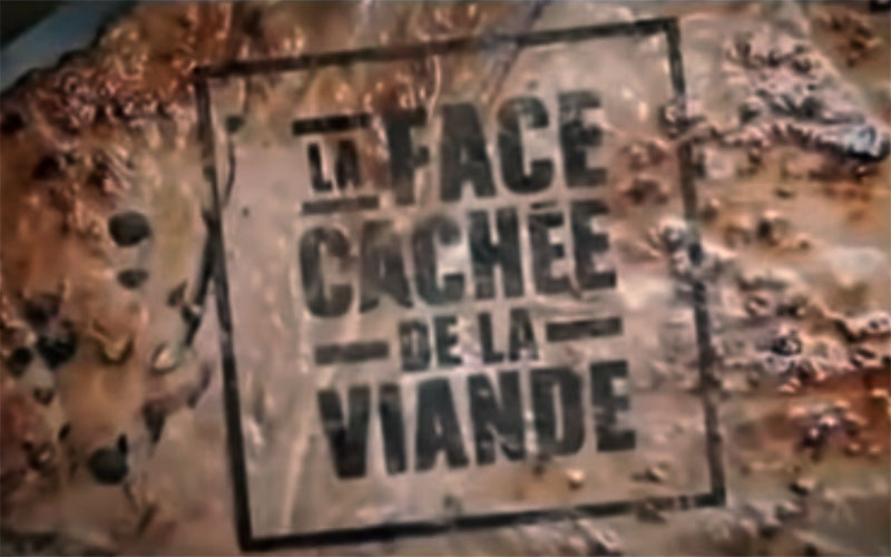 The Hidden Face of Meat