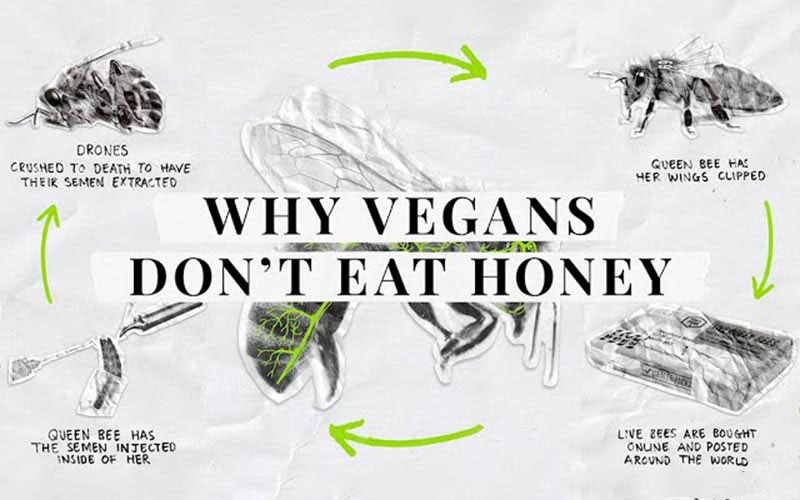 Why don't vegans eat honey?